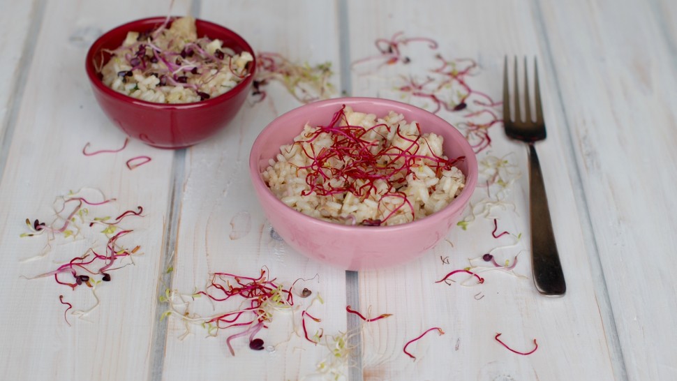 Insalata di riso con germogli Azuki rossi